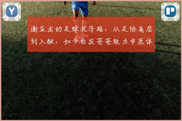 谢亚龙的足球沉浮路，从足协高层到入狱，如今白发苍苍致力中医体育康复